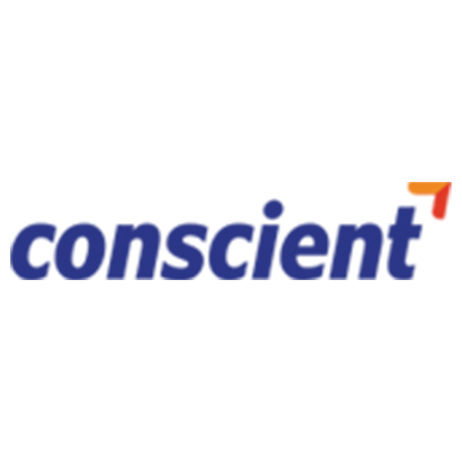 Developer Logo