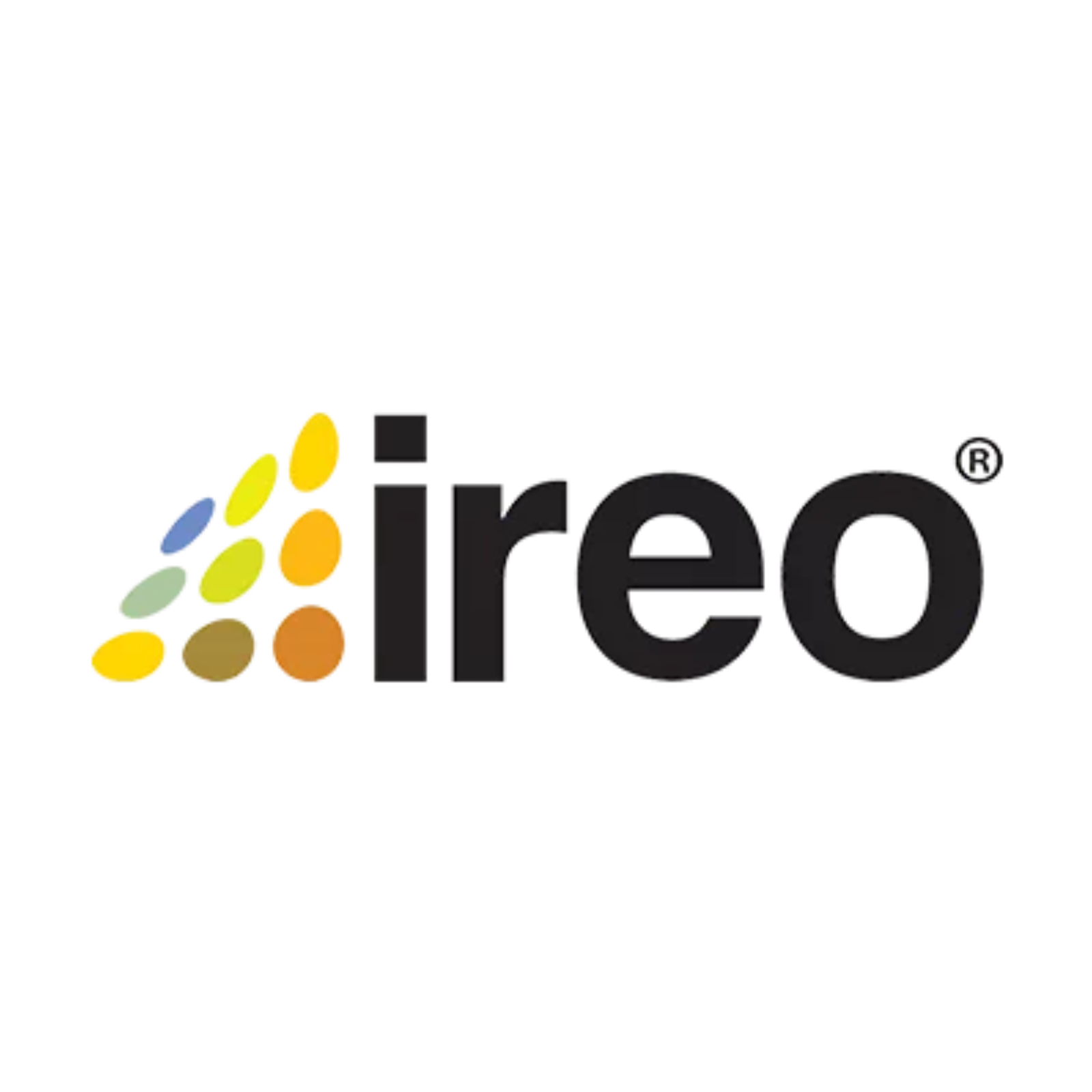 Developer Logo
