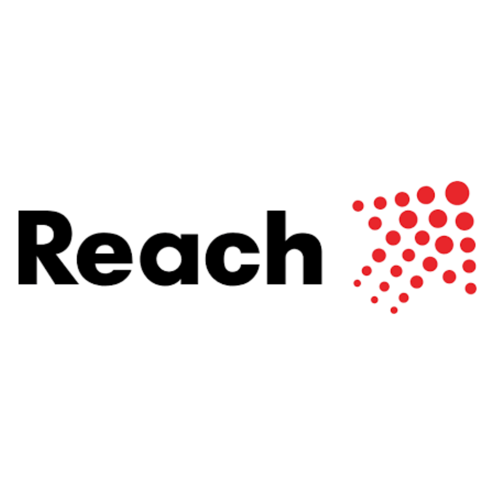 Developer Logo