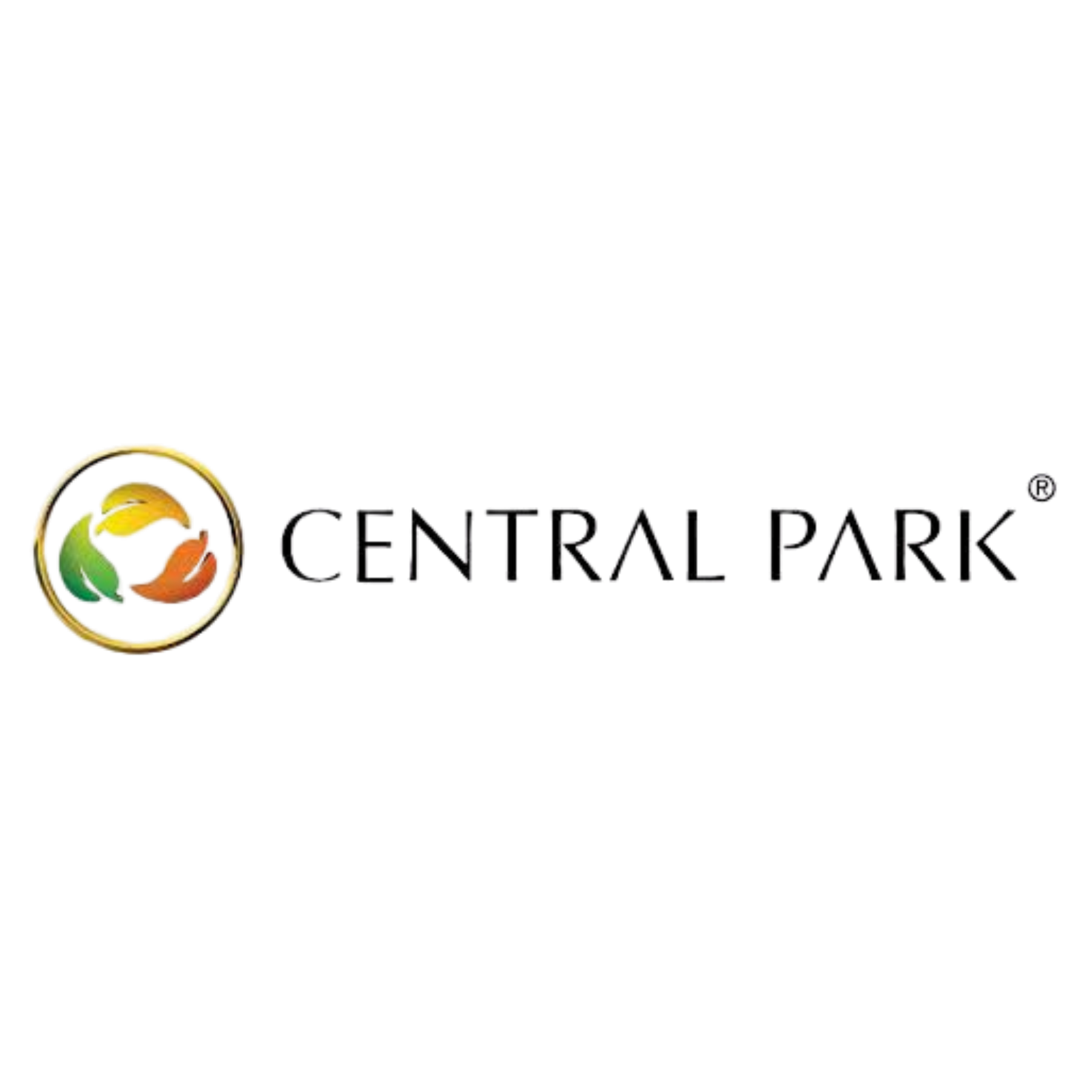 Developer Logo