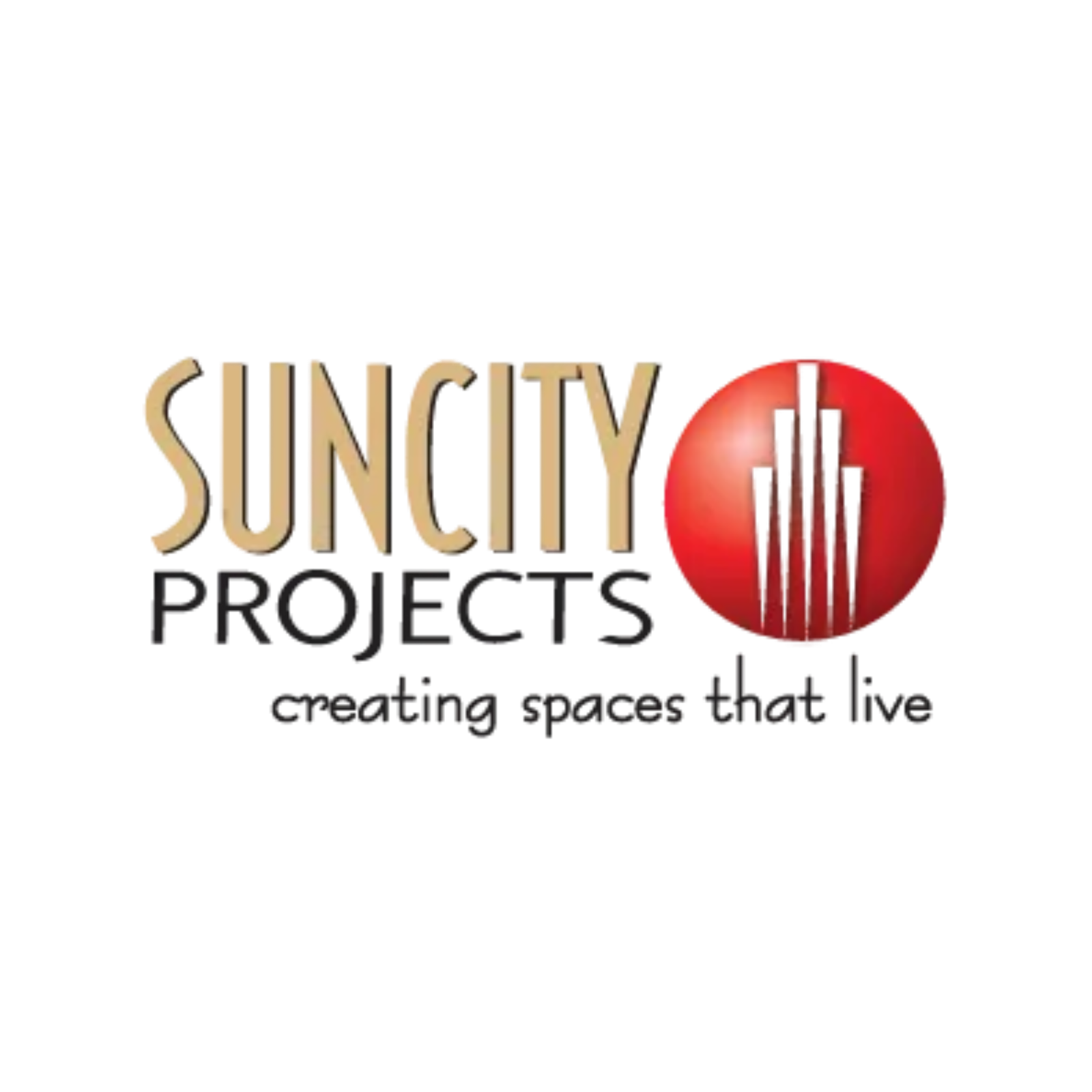 Developer Logo