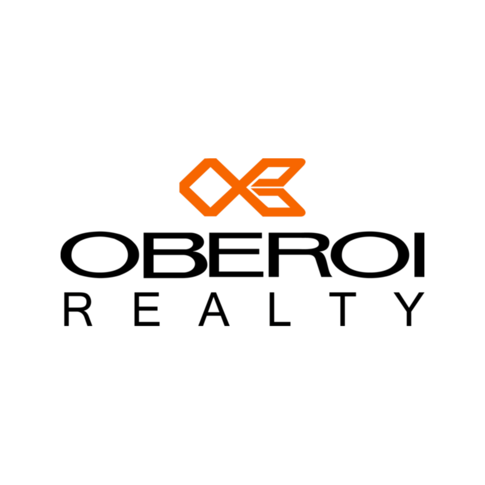 Developer Logo