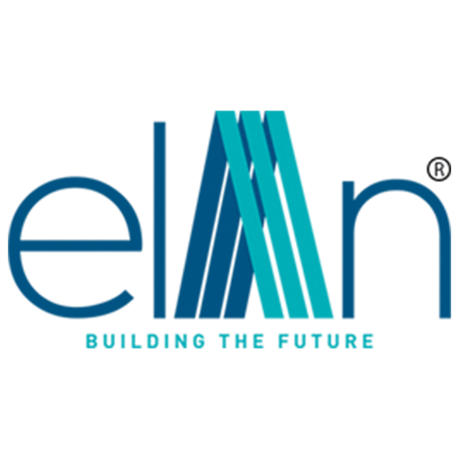 Developer Logo
